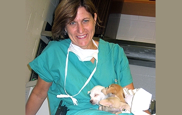 Veterinarian with Puppies